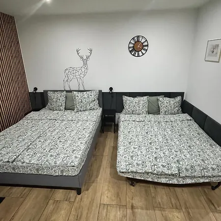 Apartamentprzy Termachchocholowskich Apartmán *