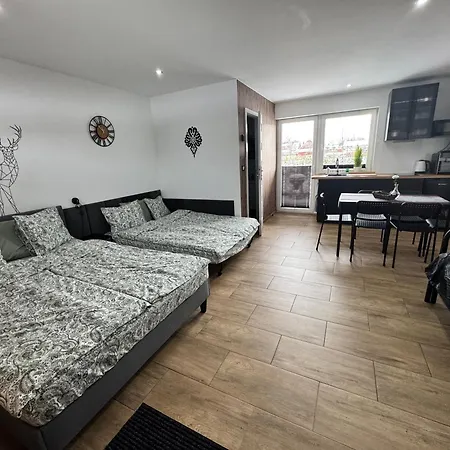 Apartamentprzy Termachchocholowskich Apartmán