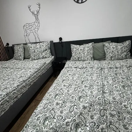 Apartamentprzy Termachchocholowskich