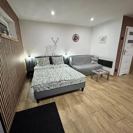 Apartamentprzy Termachchocholowskich Apartmán *