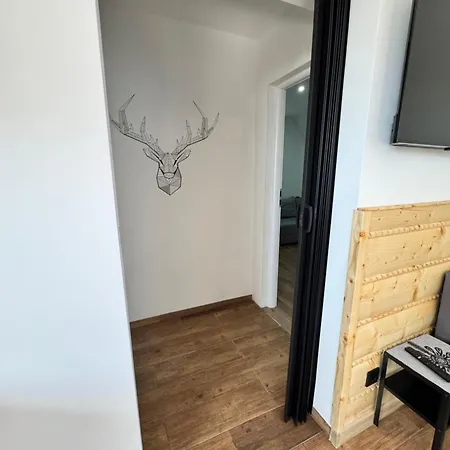 Apartamentprzy Termachchocholowskich *