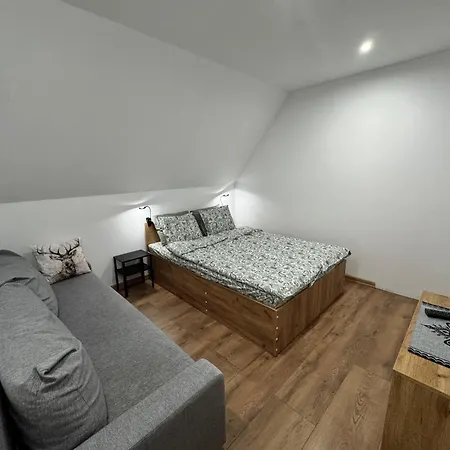 Apartamentprzy Termachchocholowskich