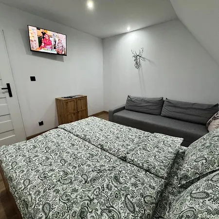 Apartmán Apartamentprzy Termachchocholowskich
