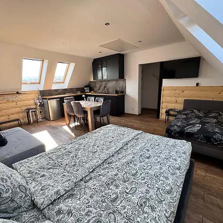 Apartmán Apartamentprzy Termachchocholowskich