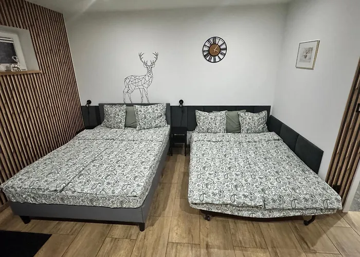 Apartamentprzy Termachchocholowskich Apartment *