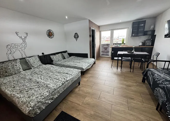 Apartamentprzy Termachchocholowskich Apartment