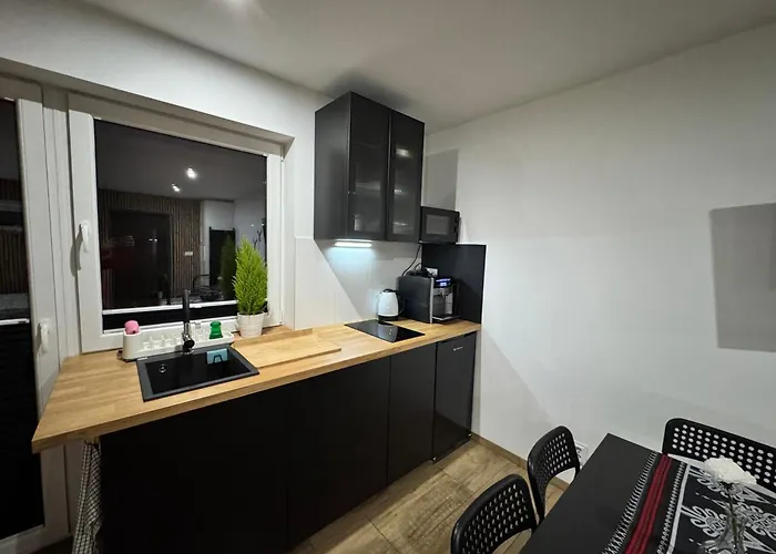 Apartamentprzy Termachchocholowskich Apartment