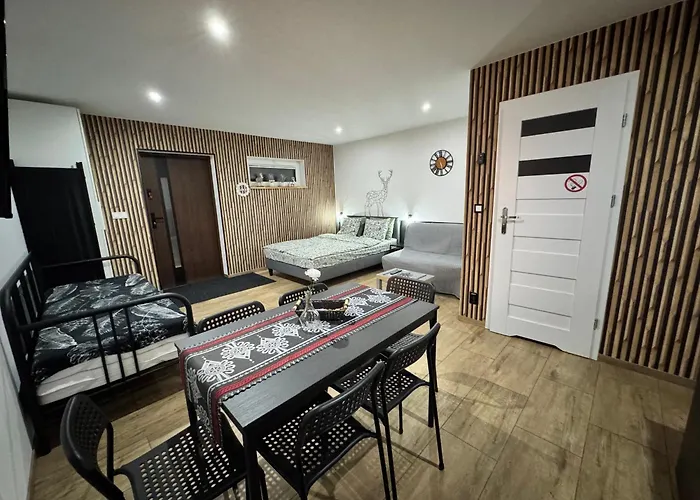 Apartment Apartamentprzy Termachchocholowskich Witów