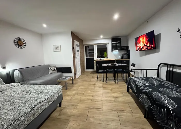 Apartamentprzy Termachchocholowskich *