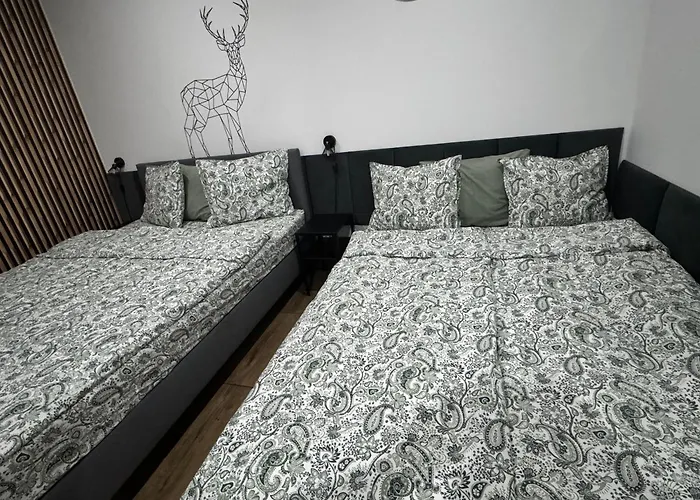 Apartamentprzy Termachchocholowskich