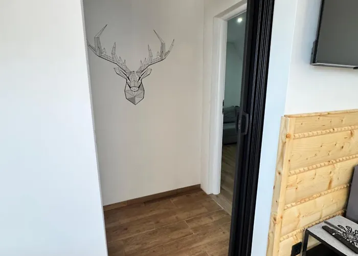 Apartamentprzy Termachchocholowskich *