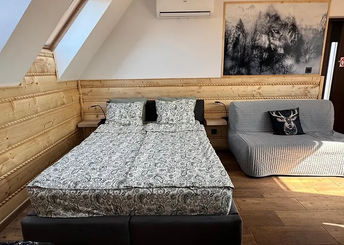 Apartamentprzy Termachchocholowskich Apartment