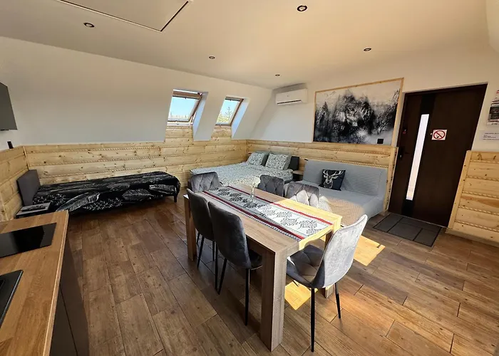 Apartamentprzy Termachchocholowskich